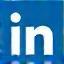 Icona LinkedIn